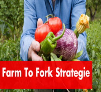 Module 1: The EU’s “Farm to Fork strategy”